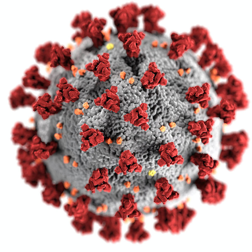 Betriebliche Pandemieplanung bei CoVid19 Coronavirus